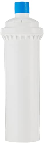 FI-CS-2500P Replacement Filter, 15 X 3.5 Inches