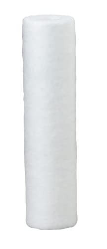 Pentair Pentek P1 Sediment Water Filter