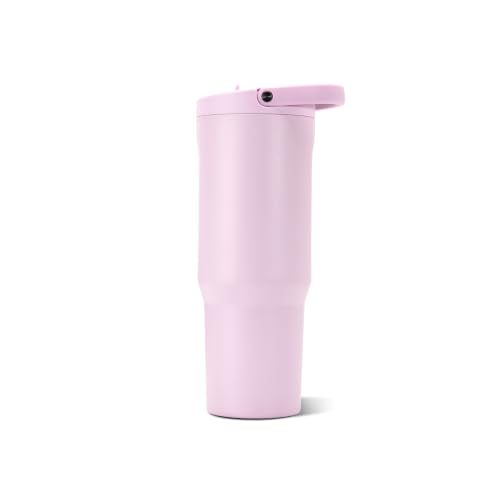 Sport 32 oz Insulated Stainless Steel Water Bottle