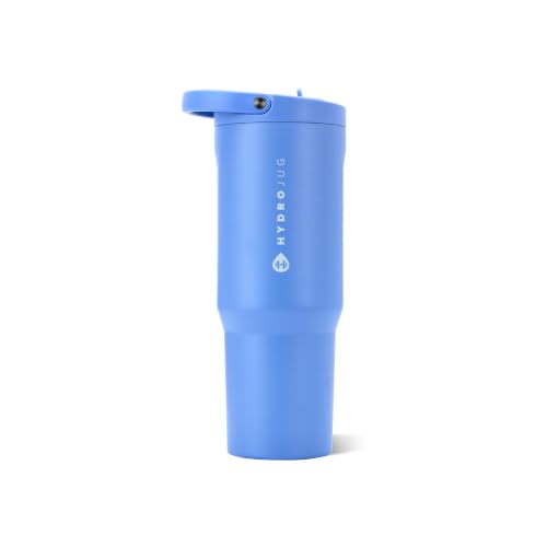 Sport 32 oz Insulated Stainless Steel Water Bottle
