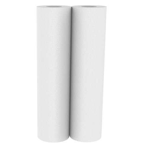 Pentair OMNIFilter RS14 Sediment Water Filter