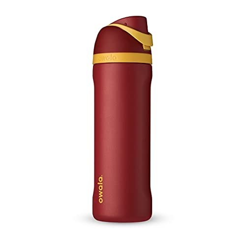Harry Potter FreeSip Stainless Steel Water Bottle 24 oz Gryffindor