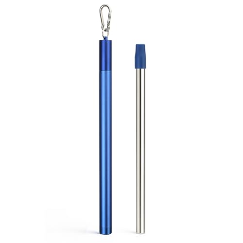 Stainless Steel Water Filter Straw