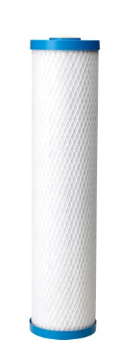 Pentair Pentek ChlorPlus 20BB Big Blue Carbon Water Filter