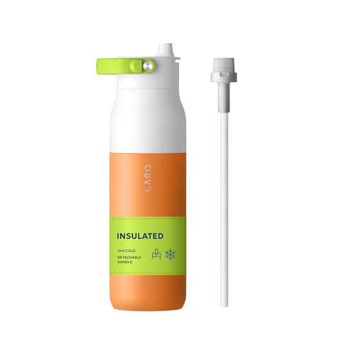 Swig Top Insulated Stainless Steel Water Bottle with Straw and Handle