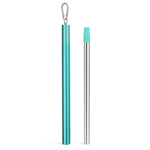 Stainless Steel Water Filter Straw