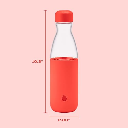 Glass Original Water Bottle