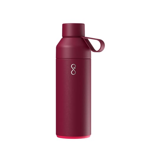 Original 17oz Stainless Steel Water Bottle