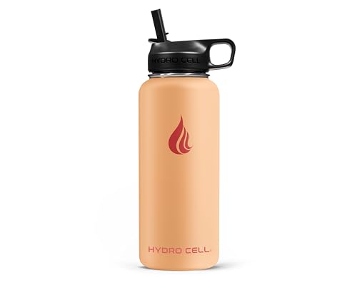 Stainless Steel Insulated Water Bottle with Straw