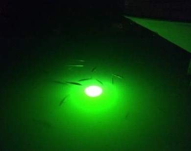 LED 100 Watt 10