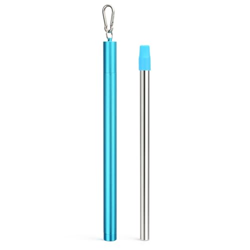Stainless Steel Water Filter Straw
