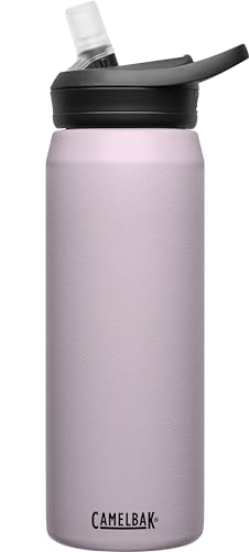 Eddy+ Insulated Stainless Steel Bite Valve Straw Water Bottle Purple Sky