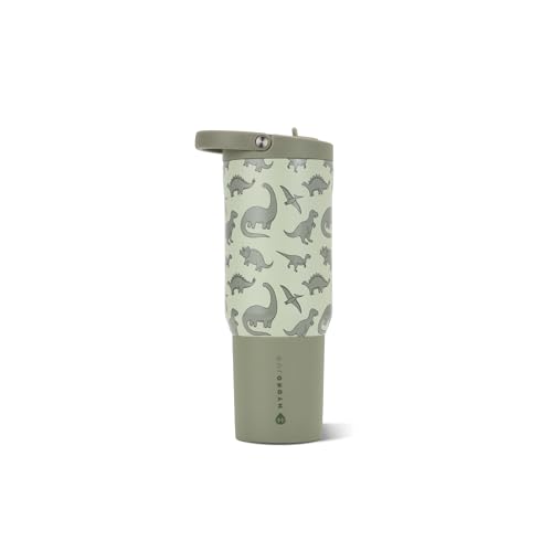 Sport 20 oz Insulated Stainless Steel Water Bottle