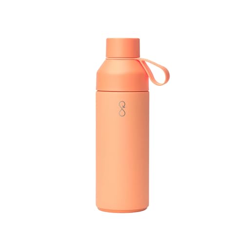 Original 17oz Stainless Steel Water Bottle