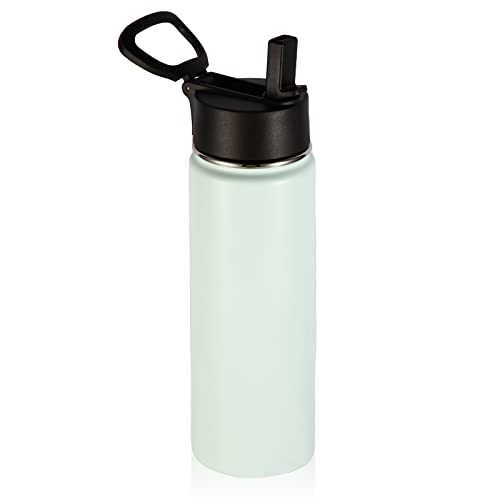 22 oz Insulated Water Bottles with Straw Lid