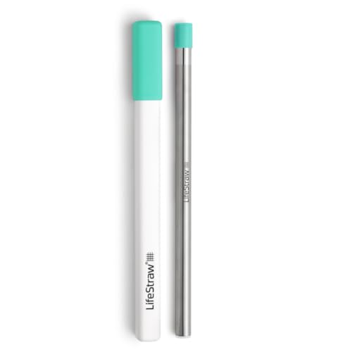 Sip Reusable Stainless Steel Water Filter Drinking Straw with Carry Case