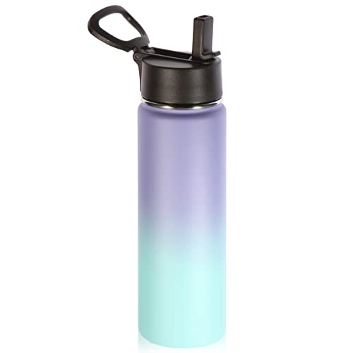 22 oz Insulated Water Bottles with Straw Lid
