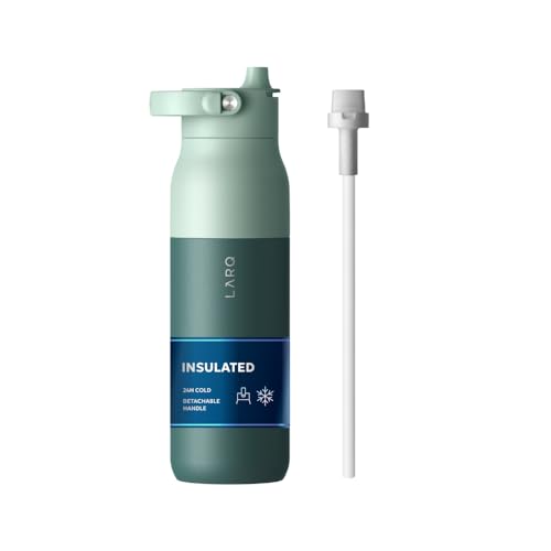 Swig Top Insulated Stainless Steel Water Bottle with Straw and Handle