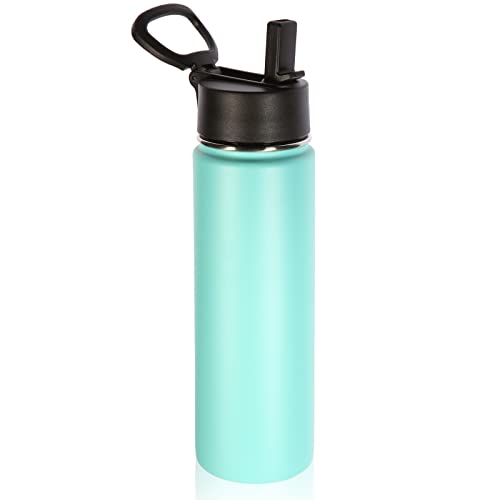 22 oz Insulated Water Bottles with Straw Lid