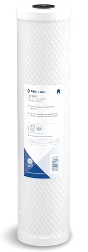 Pentair Pentek CBC