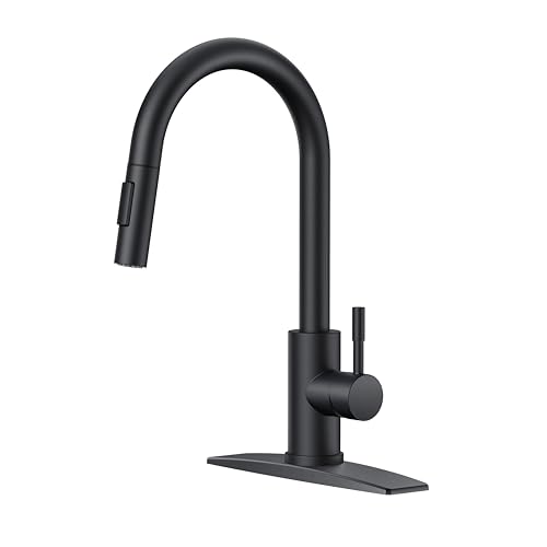 Black Kitchen Sink Faucet with Pull Down Sprayer