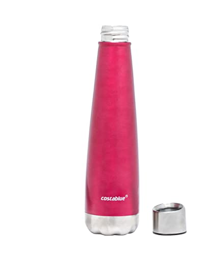 Insulated Water Bottle