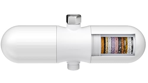 Duo Shower Filter