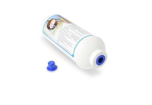 Compact Inline GAC Filter