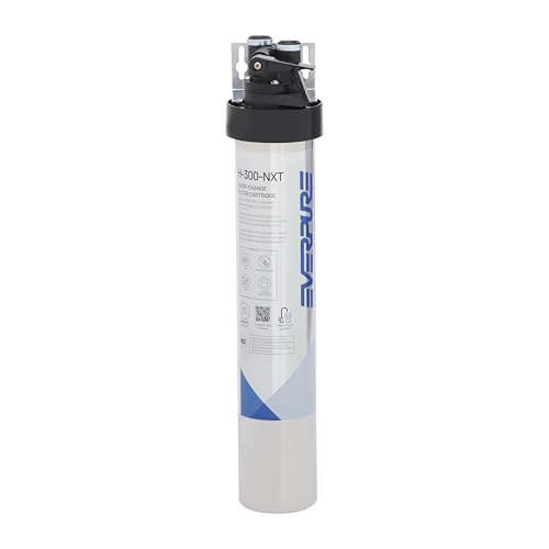 Pentair Everpure H