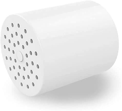 Filtered Shower Head