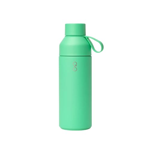 Original 17oz Stainless Steel Water Bottle