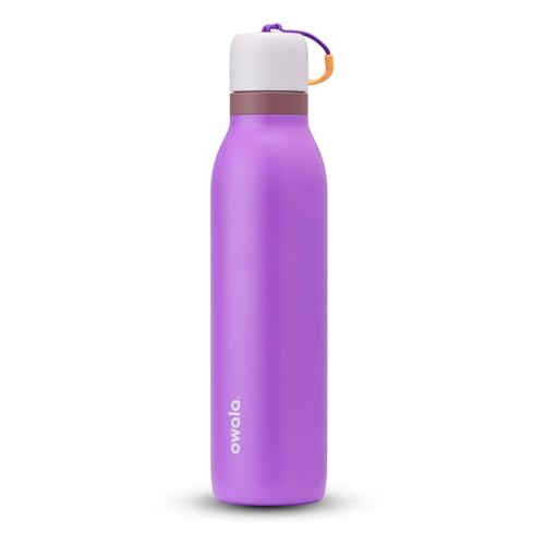 FreeSip Twist Stainless Steel Water Bottle 24 oz California Grapevine