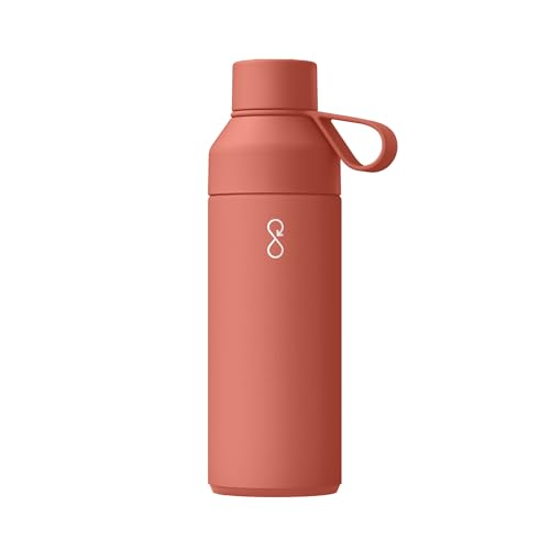 Original 17oz Stainless Steel Water Bottle