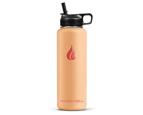 Stainless Steel Insulated Water Bottle with Straw