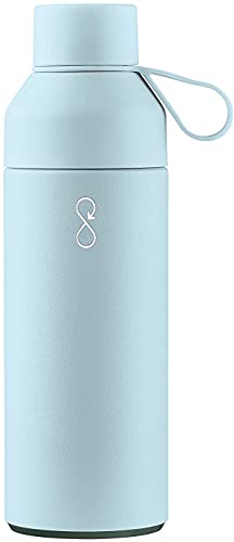 Original 17oz Stainless Steel Water Bottle