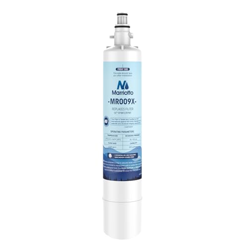 RPWFE (Built-in CHIP), RPWF Refrigerator Water Filter Pack of 1