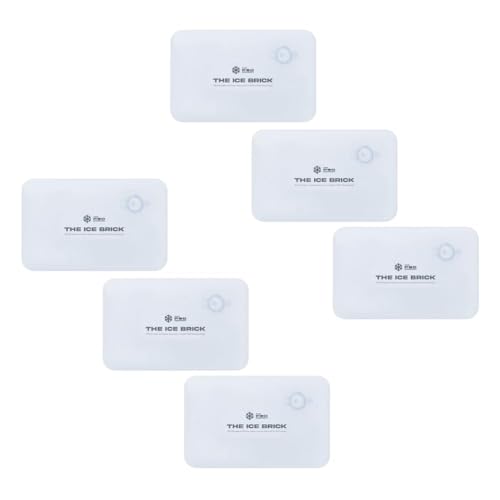 6 Pack Ice Brick (6 Count)
