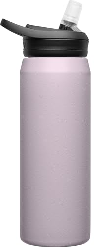 Eddy+ Insulated Stainless Steel Bite Valve Straw Water Bottle Purple Sky