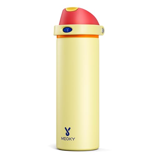 24 oz Insulated Water Bottle with Straw