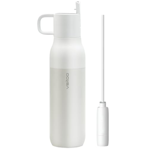 S2 25oz Insulated Stainless Steel Filtered Water Bottle with Straw