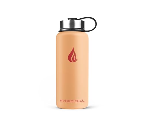 Stainless Steel Insulated Water Bottle with Straw