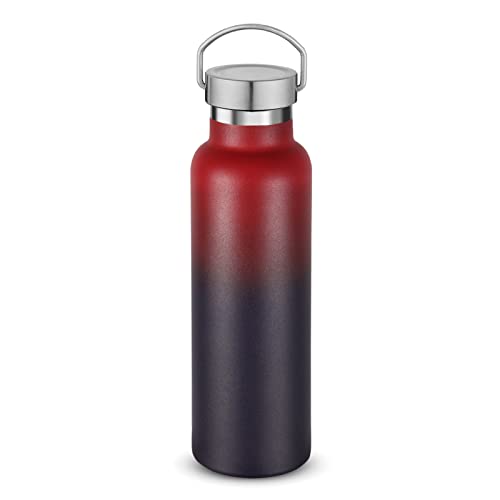 Gradient Stainless Steel Water Bottles
