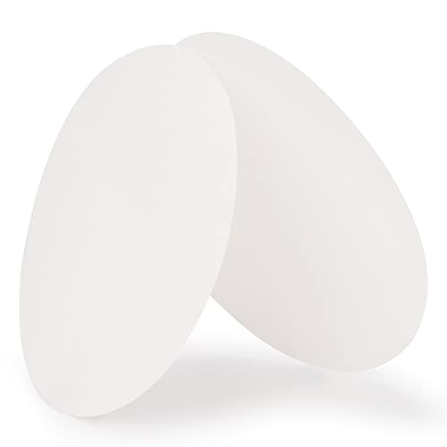 Qualitative Filter Paper (100 Count)