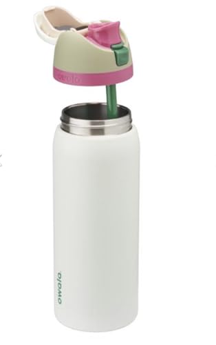 FreeSip Insulated Stainless Steel Water Bottle with Straw