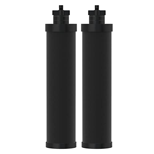 Water Filter Replacement for Berkey® BB9 (29.99 Count)