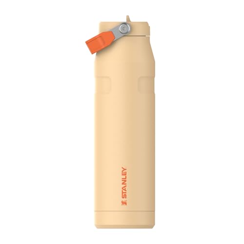 1913 Flip Straw Sports Water Bottle 1.06L