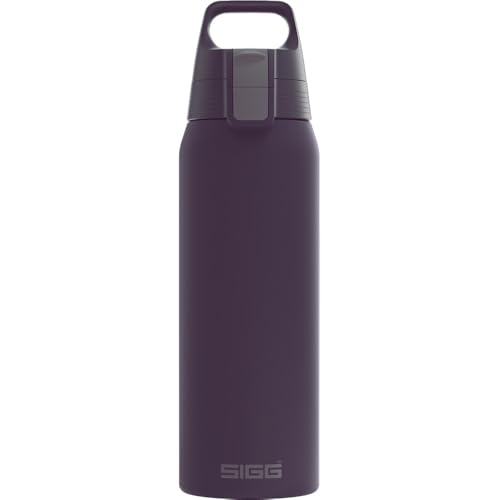 Insulated Water Bottle