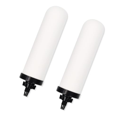 2 PCS 7 inch ceramic water filter Candle with Activated Carbon (2 Count)