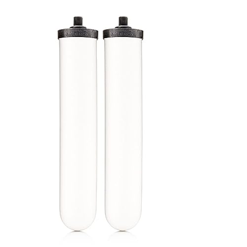 W9123053 9501 10" UltraCarb NSF Certified BSP Thread Ceramic Filter Candle Element Cartridge