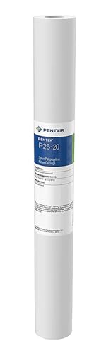 Pentair Pentek P25